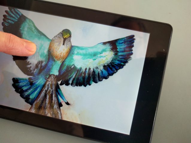 birds-tablet